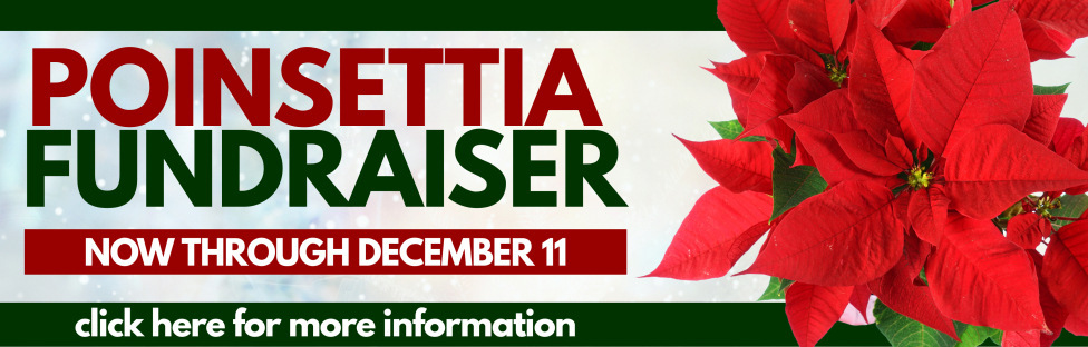 Poinsettia Fundraiser